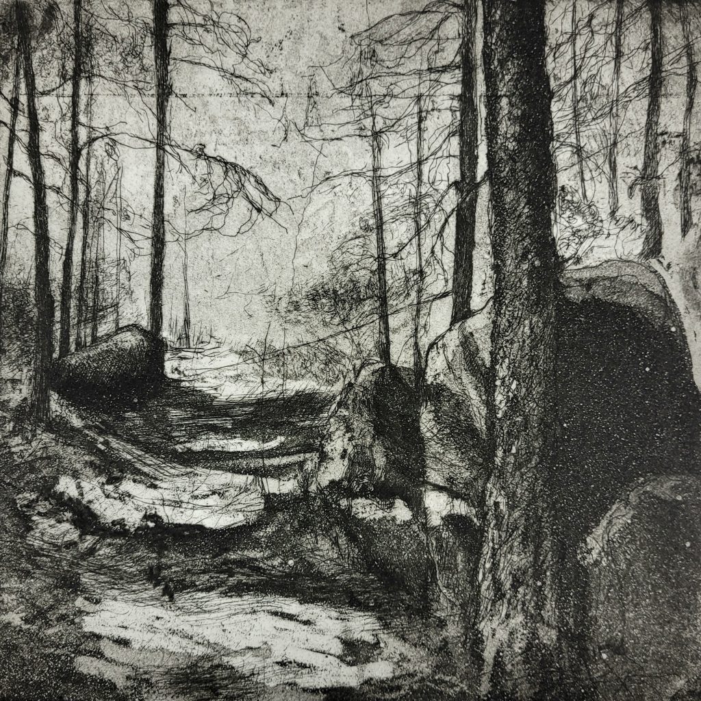 Teoskuva: Johansson Vappu - Kartanon metsä I