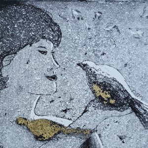 Teoskuva: Ala-Olla Merja - Lintuni