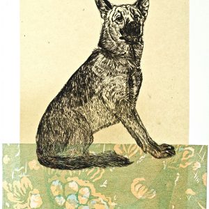 Teoskuva: Immonen Teija - Kodin vahti