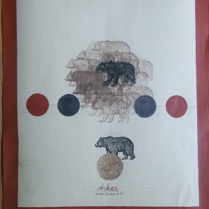 Teoskuva: Kinanen Jukka - Arkas