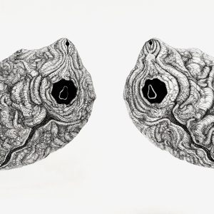 Teoskuva: Koljonen Kaisa - Meeting