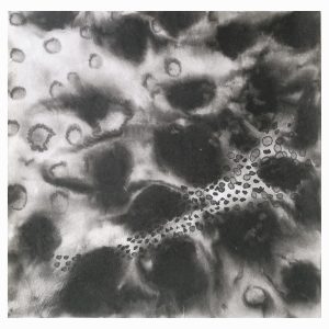 Teoskuva: Ylitalo Merja - Milky Way