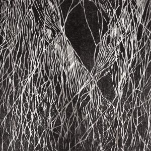 Teoskuva: Pitkänen Kukka - Virta 6