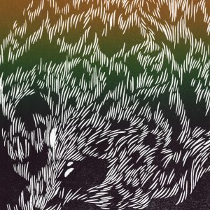 Teoskuva: Pitkänen Kukka - Virta 1