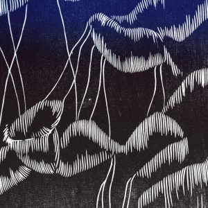 Teoskuva: Pitkänen Kukka - Virta 5