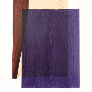 Teoskuva: Pelkonen Ari - From the serie Layered