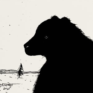 Teoskuva: Junttila Helena - Karhu