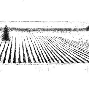 Teoskuva: Hyrske Hannu - Pelto