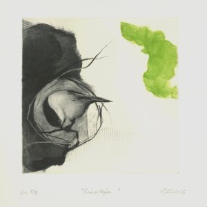 Teoskuva: Kivinen Tiina - Sisustaja