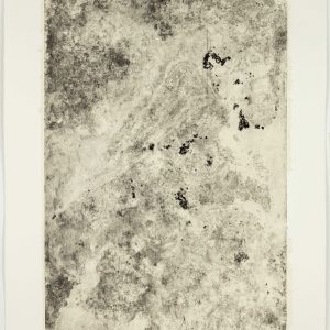 Teoskuva: Peura Emma - Paulin puun juurella (B)