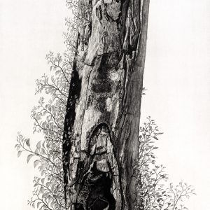 Teoskuva: Ishiyama Naoji - Blessed Life