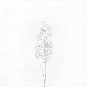 Teoskuva: Ishiyama Naoji - No Name