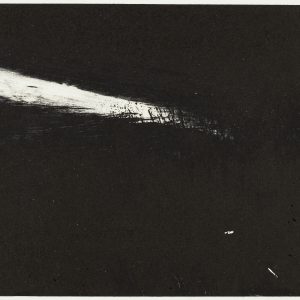 Teoskuva: Tanskanen Leila - Metsän pimeys ei pelota