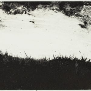 Teoskuva: Tanskanen Leila - Oikealla polulla