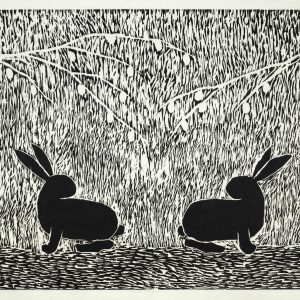 Teoskuva: Salmi Ritva - Puput varjossa