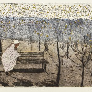 Teoskuva: Koiviola Helmi - Vapaat veet