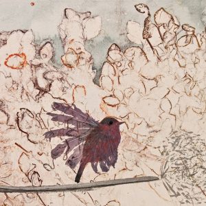Teoskuva: Kananen Heta - Lintuhyppy