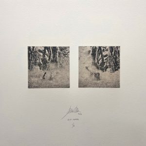 Teoskuva: Laine Janne - Alfa Centauri