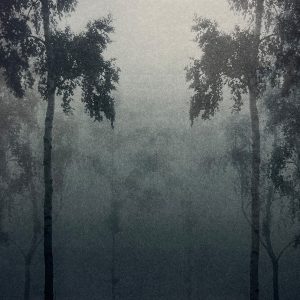 Teoskuva: Laine Janne - Hiljaisuus