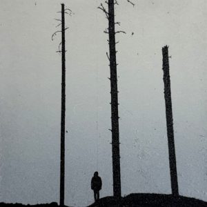 Teoskuva: Laine Janne - A New Day I