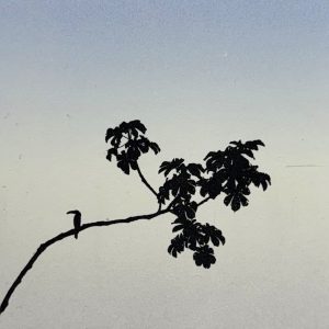 Teoskuva: Laine Janne - Direction