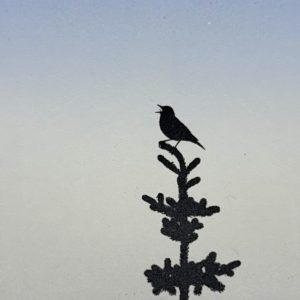 Teoskuva: Laine Janne - North II